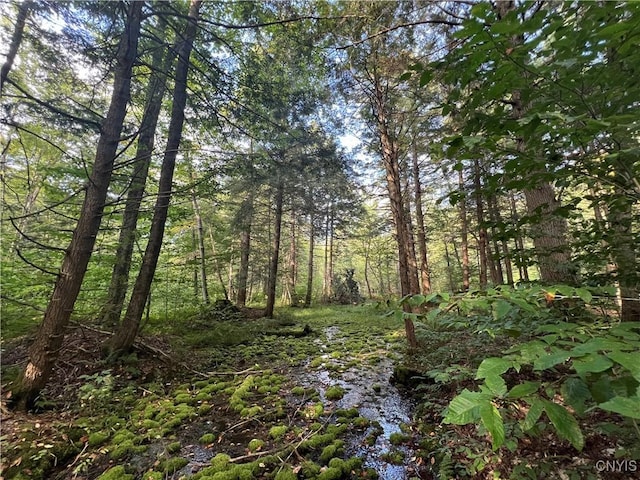 Creek Rd Unit 7, Annsville, NY 13471 - photo 11
