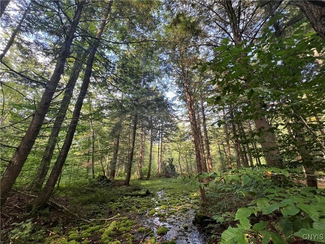 Creek Rd Unit 7, Annsville, NY 13471 - photo 12