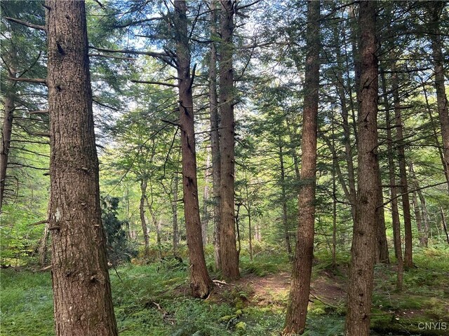 Creek Rd Unit 7, Annsville, NY 13471 - photo 13