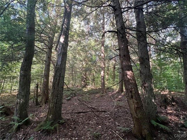 Creek Rd Unit 7, Annsville, NY 13471 - photo 14