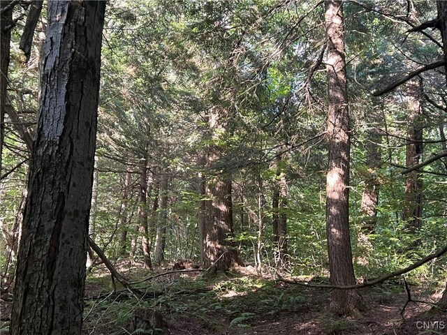 Creek Rd Unit 7, Annsville, NY 13471 - photo 15