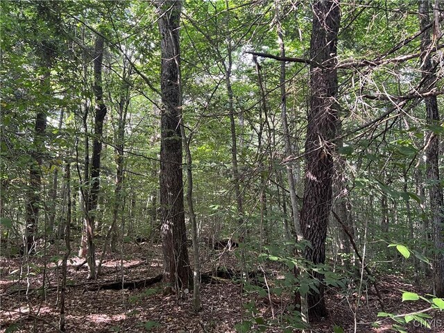 Creek Rd Unit 7, Annsville, NY 13471 - photo 16