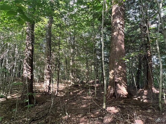 Creek Rd Unit 7, Annsville, NY 13471 - photo 17