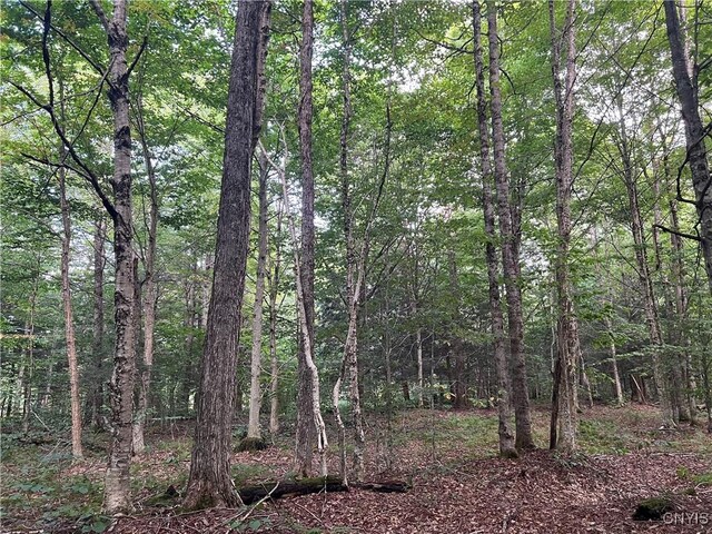 Creek Rd Unit 7, Annsville, NY 13471 - photo 18