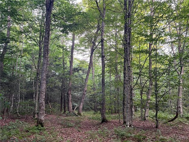 Creek Rd Unit 7, Annsville, NY 13471 - photo 19