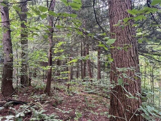 Creek Rd Unit 7, Annsville, NY 13471 - photo 20