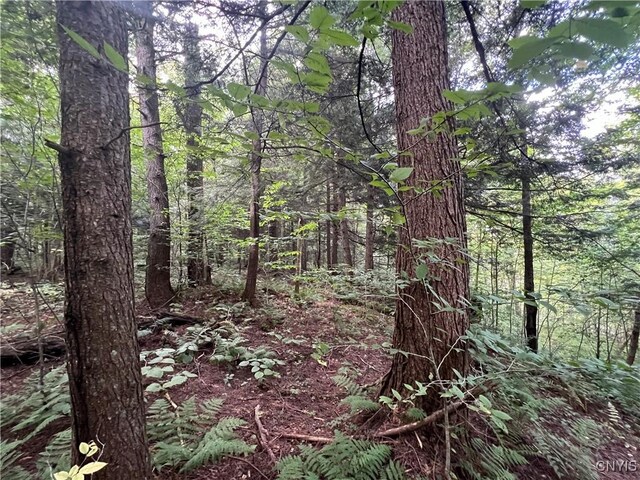 Creek Rd Unit 7, Annsville, NY 13471 - photo 21