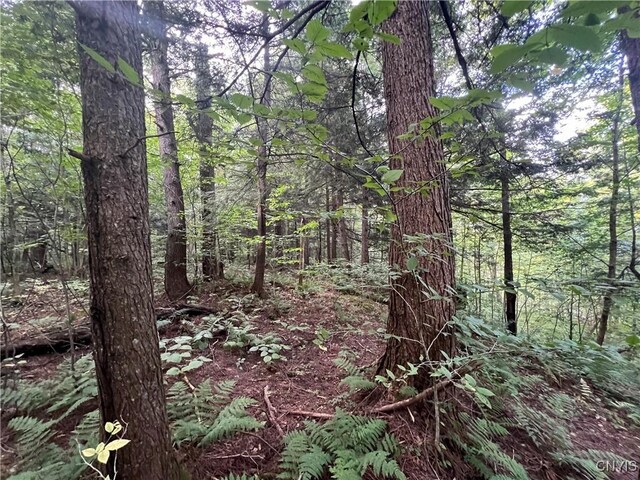 Creek Rd Unit 7, Annsville, NY 13471 - photo 22