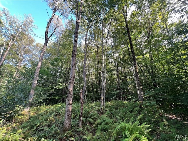 Creek Rd Unit 7, Annsville, NY 13471 - photo 2