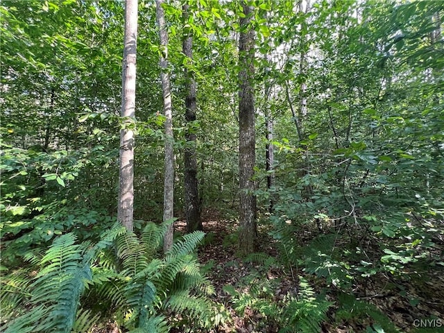 Creek Rd Unit 7, Annsville, NY 13471 - photo 4