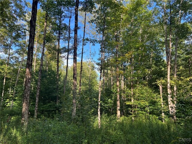 Creek Rd Unit 7, Annsville, NY 13471 - photo 6