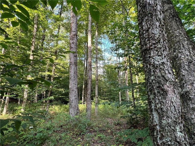 Creek Rd Unit 7, Annsville, NY 13471 - photo 7