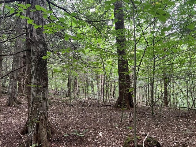 Creek Rd Unit 7, Annsville, NY 13471 - photo 24