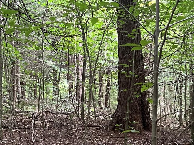 Creek Rd Unit 7, Annsville, NY 13471 - photo 25