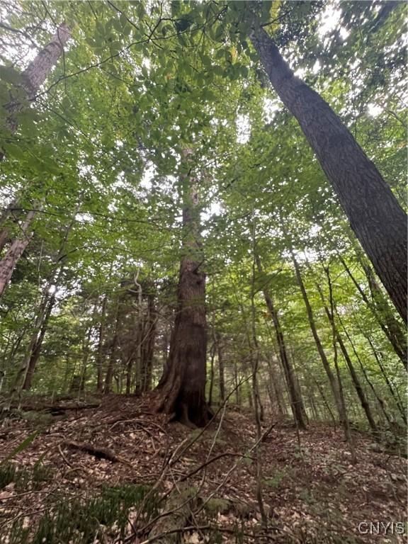 Creek Rd Unit 7, Annsville, NY 13471 - photo 26