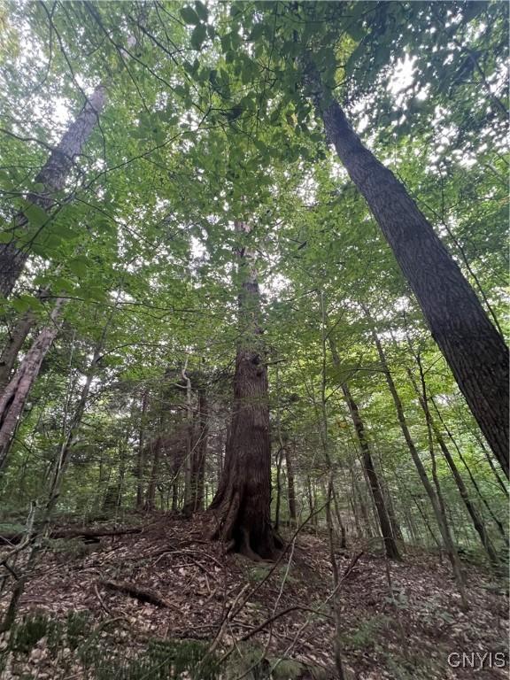 Creek Rd Unit 7, Annsville, NY 13471 - photo 27