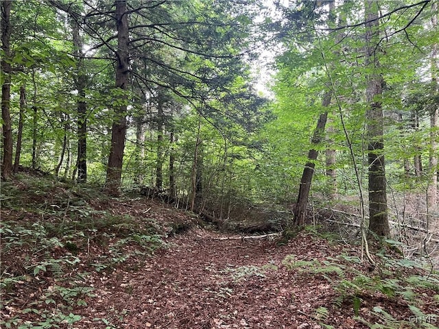 Creek Rd Unit 7, Annsville, NY 13471 - photo 29