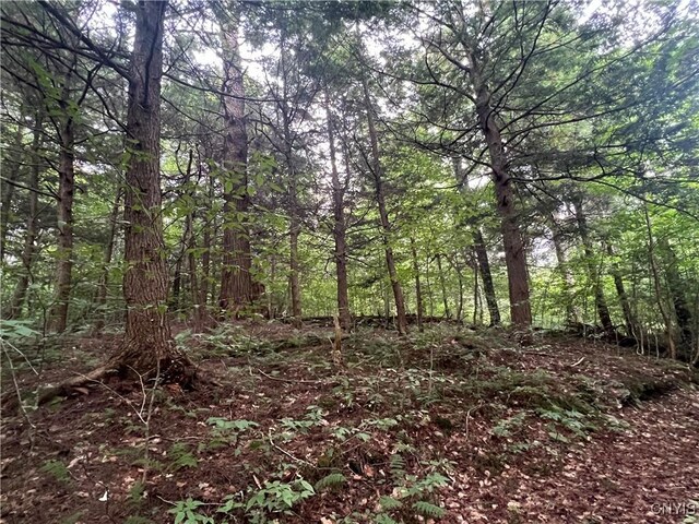Creek Rd Unit 7, Annsville, NY 13471 - photo 30