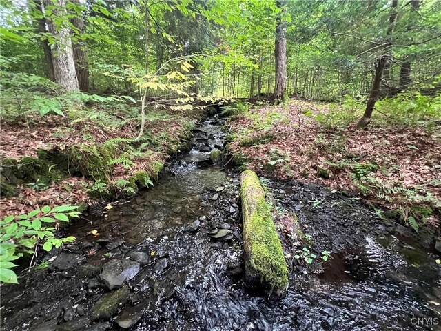 Creek Rd Unit 7, Annsville, NY 13471 - photo 31