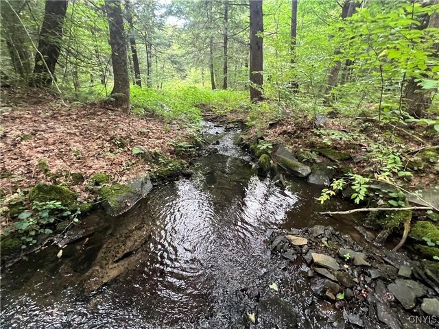Creek Rd Unit 7, Annsville, NY 13471 - photo 32