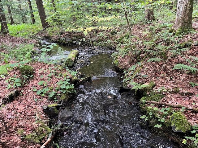 Creek Rd Unit 7, Annsville, NY 13471 - photo 33