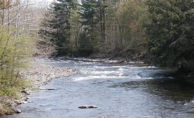 Creek Rd Unit 7, Annsville, NY 13471 - photo 5