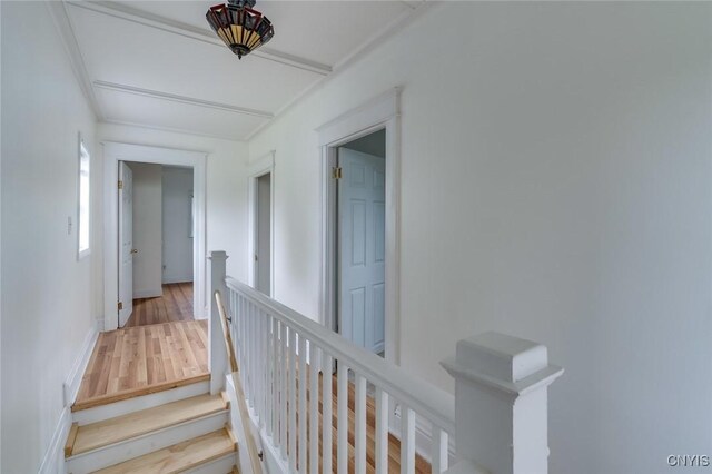 157 Dorsey St, Watertown-City, NY 13601 - photo 32