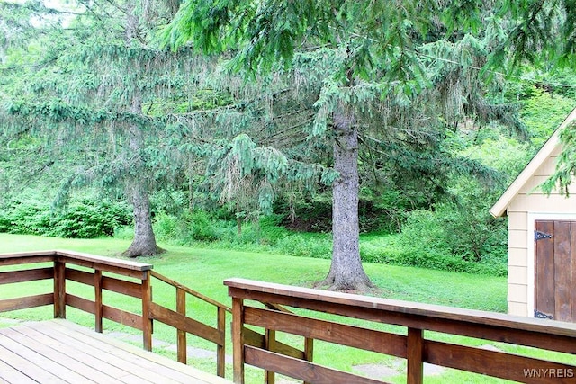 5046 Whig St, Little Valley, NY 14779 - view of green lawn with a deck and a view of trees