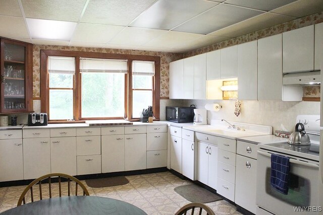 5046 Whig St, Little Valley, NY 14779 - kitchen featuring white electric range, custom exhaust hood, light floors, black microwave, and light countertops