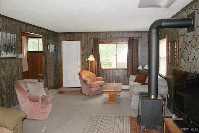 5046 Whig St, Little Valley, NY 14779 - carpeted living room featuring a wood stove and wooden walls