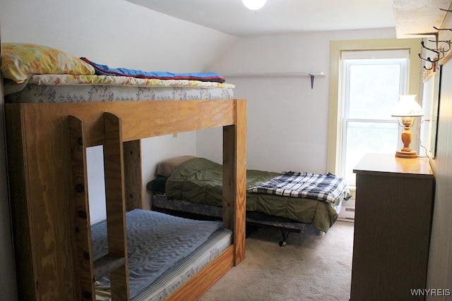 5046 Whig St, Little Valley, NY 14779 - carpeted bedroom with lofted ceiling and a baseboard radiator