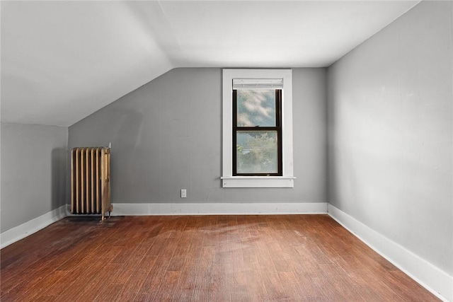 9 Orchard St, Delhi, NY 13753 - additional living space featuring radiator, wood finished floors, and lofted ceiling
