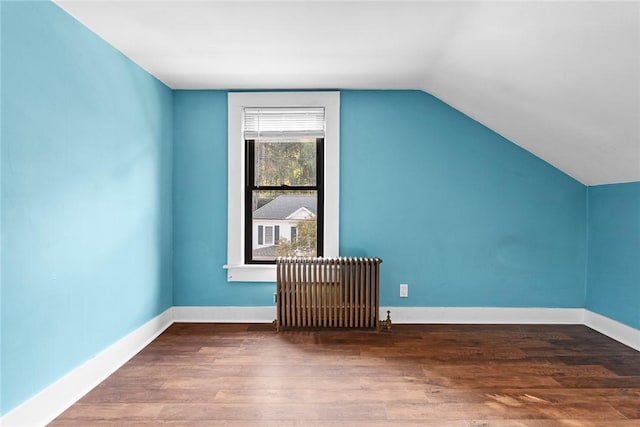 9 Orchard St, Delhi, NY 13753 - additional living space featuring radiator, wood finished floors, and vaulted ceiling