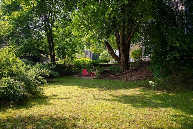9 Orchard St, Delhi, NY 13753 - view of grassy yard