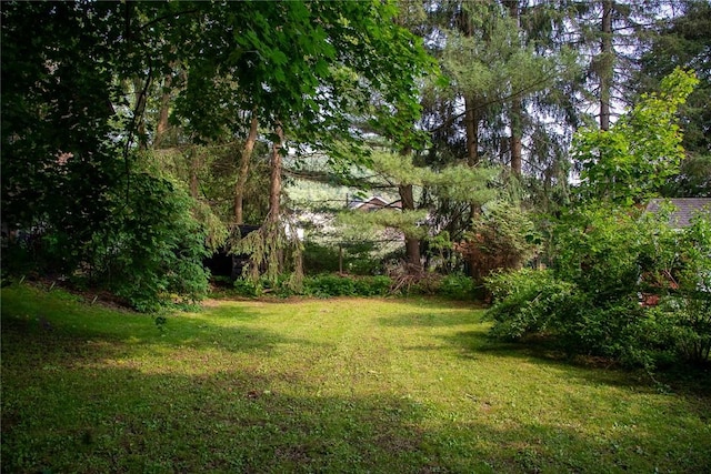 9 Orchard St, Delhi, NY 13753 - view of green lawn