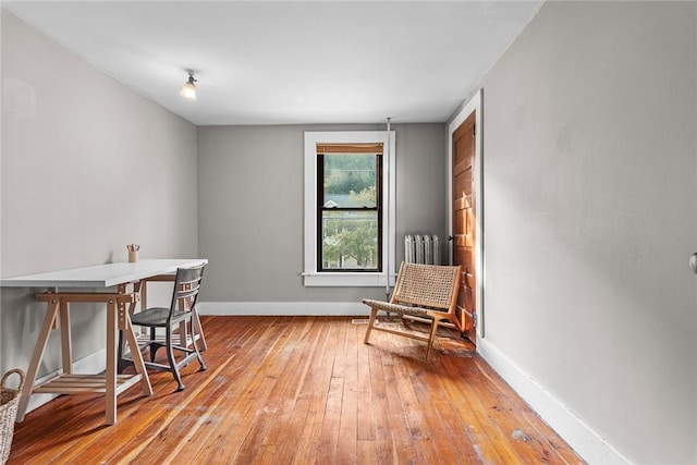 9 Orchard St, Delhi, NY 13753 - office featuring light wood-style floors and radiator heating unit