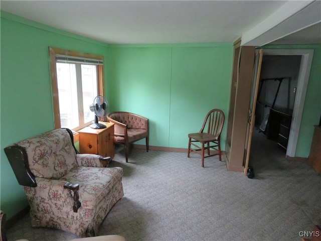 7285 State Route 812, Lowville, NY 13367 - sitting room featuring carpet and baseboards