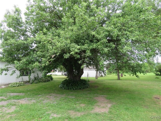 7285 State Route 812, Lowville, NY 13367 - view of green lawn