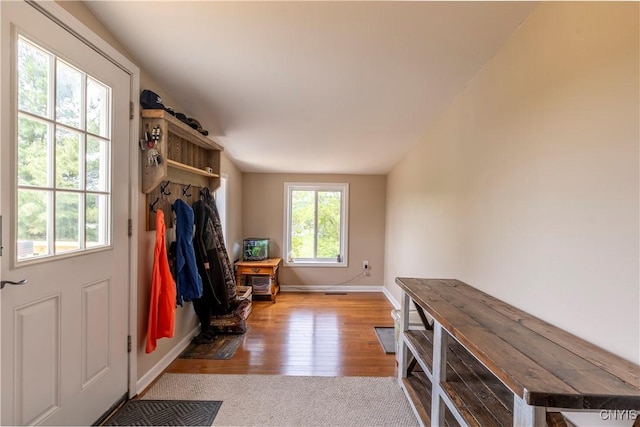 4045 E Milestrip Rd, Fenner, NY 13032 - mudroom with lofted ceiling and wood finished floors