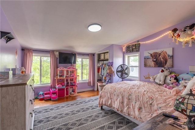 4045 E Milestrip Rd, Fenner, NY 13032 - bedroom with multiple windows, wood finished floors, and lofted ceiling