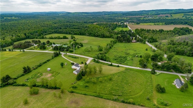 4045 E Milestrip Rd, Fenner, NY 13032 - overview of rural landscape with a forest