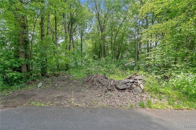 21st Ave, Vienna, NY 13157 - photo 1