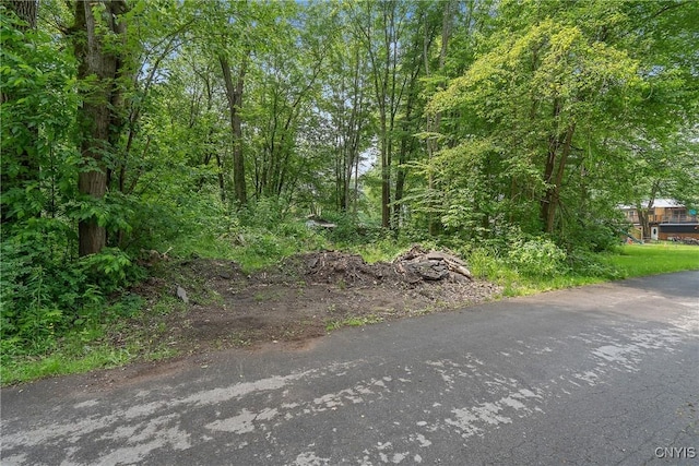 21st Ave, Vienna, NY 13157 - photo 2
