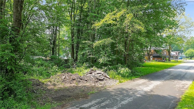 21st Ave, Vienna, NY 13157 - photo 3