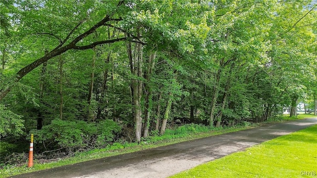 249 21st Ave, Vienna, NY 13308 - photo 1