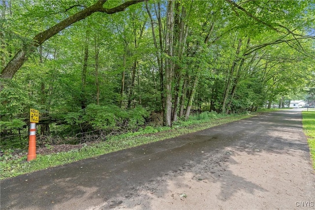 249 21st Ave, Vienna, NY 13308 - photo 2
