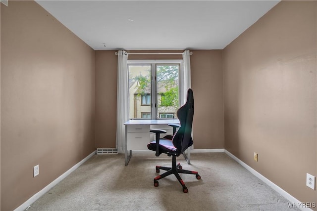 351 Charlesgate Cir, Amherst, NY 14051 - office featuring carpet floors