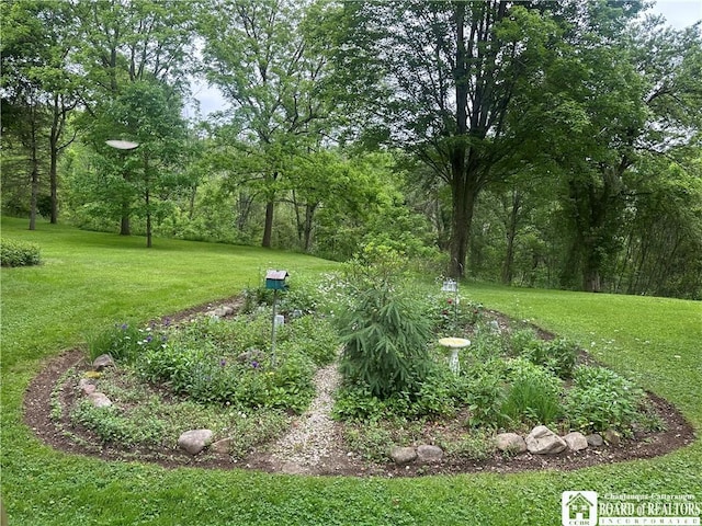 10250 Rte 39, Sardinia, NY 14141 - photo 28