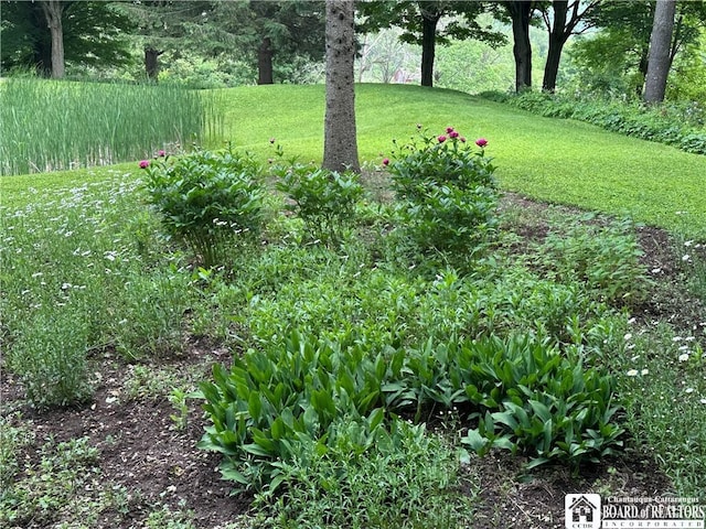 10250 Rte 39, Sardinia, NY 14141 - photo 29