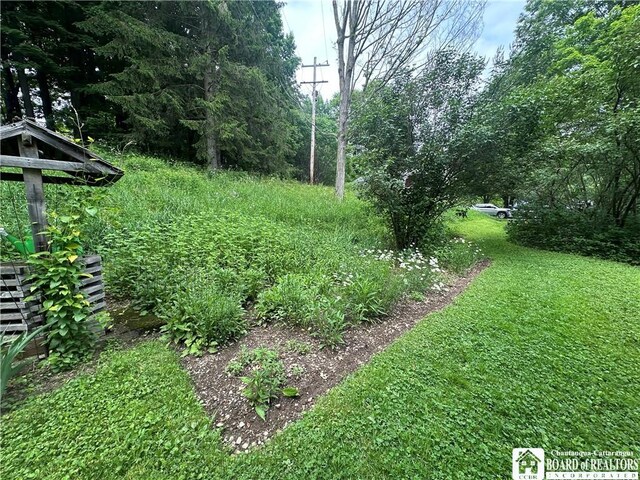 10250 Rte 39, Sardinia, NY 14141 - photo 21